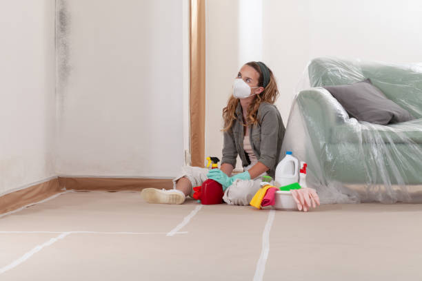 Reliable Mold Testing contractor in Shelbyville, KY by WQB Mold Removal